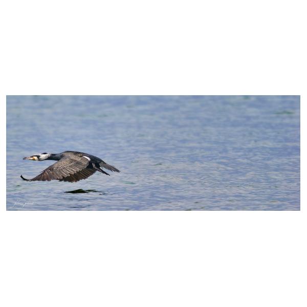 PHOTO84, CLUB, 84 , LUBERON